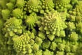 A fragment of Romanesco broccoli. Unusual vegetables. Macro shooting