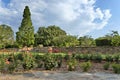 Fragment of rosarium in Botanical Garden