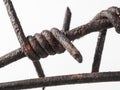 Fragment of rusty barbed wire on a white background. Symbol of fear of unfreedom of war