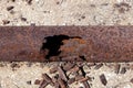 Fragment of rusty metal pipe. Oxidation and destruction of steel, corrosion