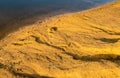 fragment of a sandy shore washed out by water