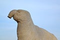 Fragment of a sculpture of a sea elephant against the background of the sky Royalty Free Stock Photo