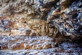 Fragment of sedimentary rock Royalty Free Stock Photo