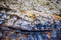 Fragment of sedimentary rock Royalty Free Stock Photo