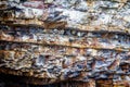 Fragment of sedimentary rock Royalty Free Stock Photo