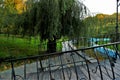 Fragment of a small bridge in the park of the city of Odessa.