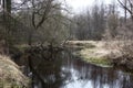 Fragment of the small river in the spring in april. Royalty Free Stock Photo