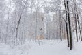 Fragment of snowy park against of multistory apartment buildings Royalty Free Stock Photo