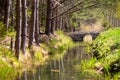 Fragment of a spring European forest with a small river and a bridge. Royalty Free Stock Photo