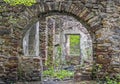 Fragment of stone old ruins overgrown with plants Royalty Free Stock Photo