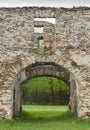 Fragment of stone old ruins overgrown with plants Royalty Free Stock Photo