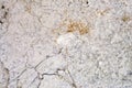 Fragment of a texture of the marble floor Royalty Free Stock Photo