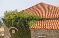 Old stone wall with ivy as background