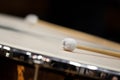 Fragment timpani closeup