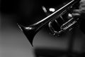 Fragment of a trumpet Royalty Free Stock Photo