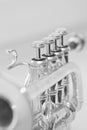 Fragment trumpet closeup Royalty Free Stock Photo