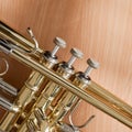 Fragment of a trumpet Royalty Free Stock Photo