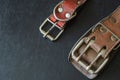 Fragment of two old genuine leather collars on a dark table