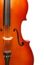 Fragment view of cello body with bridge, F-holes