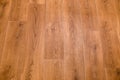 Fragment of vinyl flooring with wooden planks embossed imitation Royalty Free Stock Photo