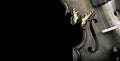 Fragment of a violin on a black background. Concert poster for classical music. Music concept. copy spaces Royalty Free Stock Photo