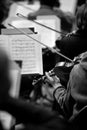 Fragment of a violin in the hands of a musician in the symphony orchestra Royalty Free Stock Photo