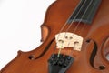 Fragment of violin on white background Royalty Free Stock Photo