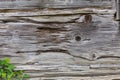 Fragment of the wall of medieval wooden log house