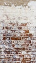 Fragment of a wall from a red brick