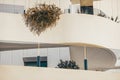 Fragment of white modern building balconies decorated with potted plants Royalty Free Stock Photo