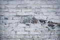 Fragment of whitewashed old brick wall, background Royalty Free Stock Photo