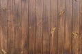 Fragment of wooden fence. The boards are ground, covered with a dark brown pigment. Royalty Free Stock Photo