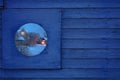 Fragment of a wooden fence with a round window. In the window is a beautiful winter night view of the village house