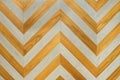 A fragment of a wooden panel hardwood Royalty Free Stock Photo