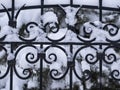 Fragment of wrought metal black fence covered with snow