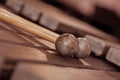 Fragment xylophone closeup Royalty Free Stock Photo