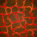 Fragmented crust floating on incandescent lava