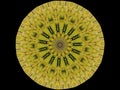 Fragmented Wheel Circle Ancient Kaleidoscope