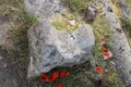 Fragments of ancient buildings, ruins of the ancient city of Hierapolis. Stone blocks with traces of stone machining