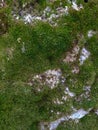 Fragments and background of an ancient fortress wall overgrown with moss.