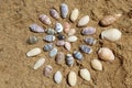 Fragments of coral reefs along the coast of Sri Lanka