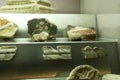 Fragments of decorated cornices of the Temple of Octavian Augustus