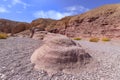 Fragments of erosive sand cliffs in the Red Canyon. Israel