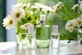 Fragrance Bottles with Fresh White Flowers Decor. Royalty Free Stock Photo