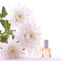 Fragrance oil Royalty Free Stock Photo