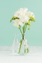 Fragrance soft light white flowers freesia in bouquet in glass vases in green mint menthe interior on white wood board.