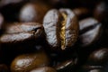 Fragrant coffee beans dark roast macro