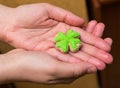 Fragrant cookie gingerbread covered with green icing tasty gift symbol holiday saint patric