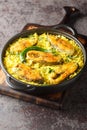 Fragrant and delicious Ilish Pulao is a signature Bengali-style Pilaf cooked with Hilsa Fish closeup on the plate. Vertical Royalty Free Stock Photo