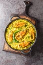 Fragrant and delicious Ilish Pulao is a signature Bengali-style Pilaf cooked with Hilsa Fish closeup on the plate. Vertical top Royalty Free Stock Photo